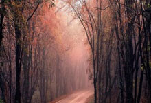 JN江南：[德甲]第4轮：斯图加特VS多特蒙德.