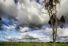 JN江南：2022卡塔爾世界杯小組賽分組名單.