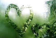 JN江南:付政浩:小崔重傷緣於意外之禍亦或因急於求成而生的隱憂.